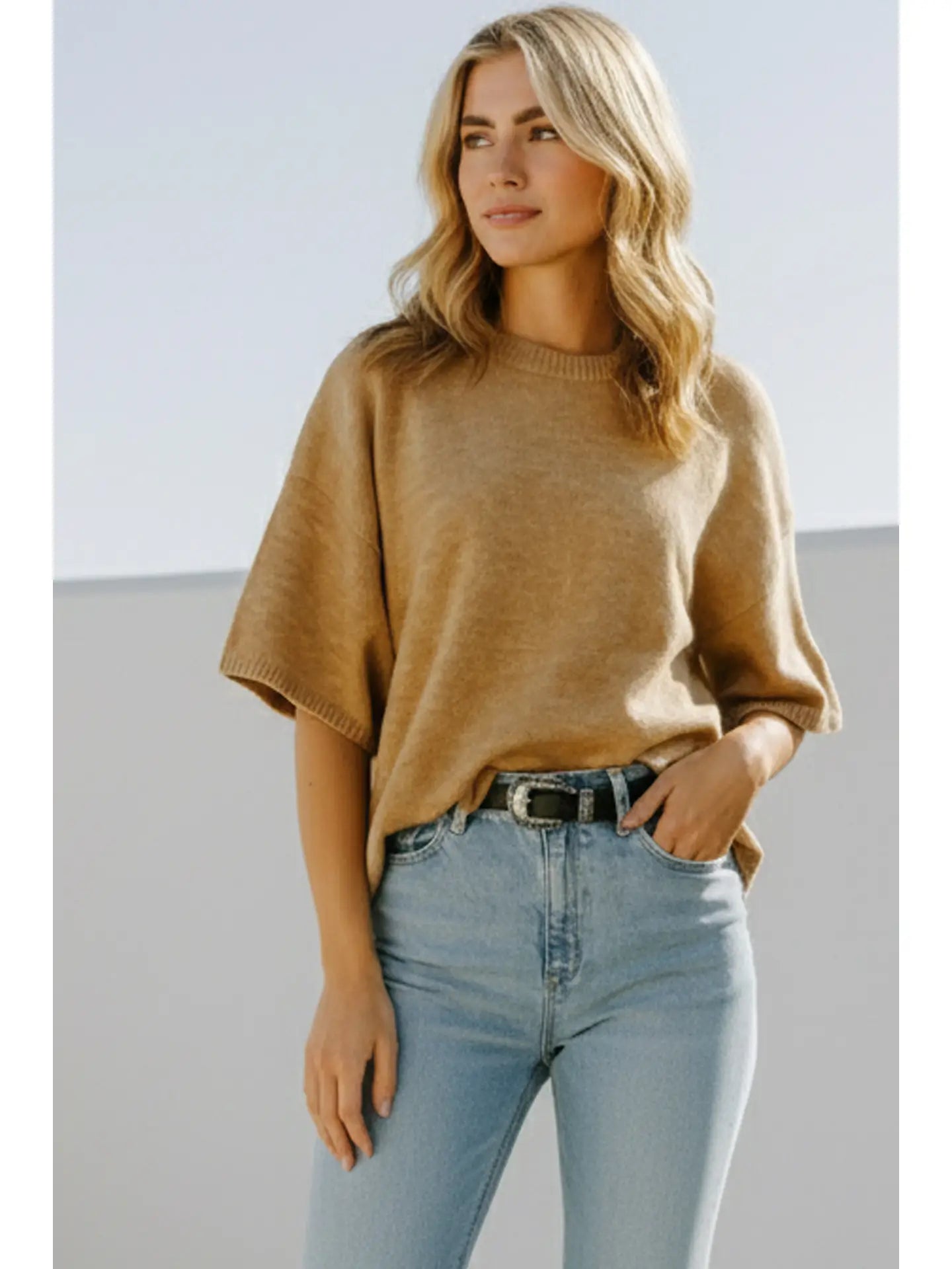 Short Sleeve Relaxed Sweater Top Taupe